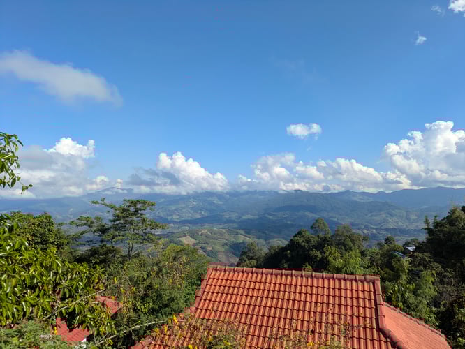 PXL_20251218_072541647.RAW-01.COVER