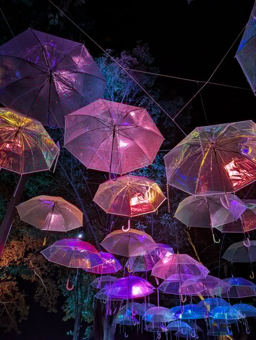 PXL_20251222_121344329.NIGHT.RAW-01.COVER