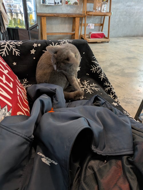 PXL_20260105_011326968.RAW-01.COVER